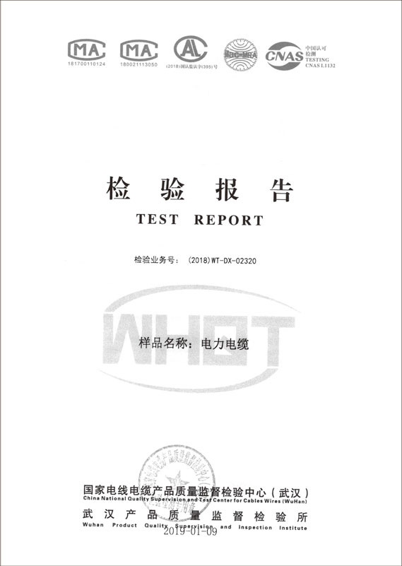 檢驗(yàn)報(bào)告